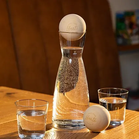 Guest house Genuss-pension Herti 3*