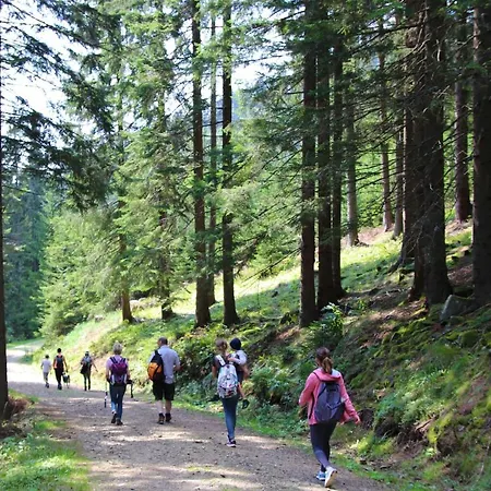 Genuss-pension Herti Guest house