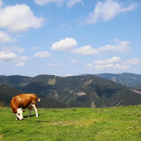 Pensionat Genuss-pension Herti Übelbach