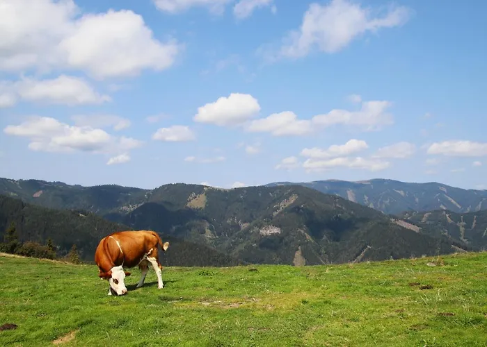 Гостевой дом Genuss-pension Herti Uebelbach